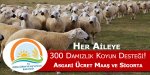 300 koyun, asgari ücret ve sigorta desteği