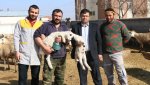 Damızlık Koyun Keçi Yetiştiricileri Birliğinden Yerli Hayvanlara Destek Talebi